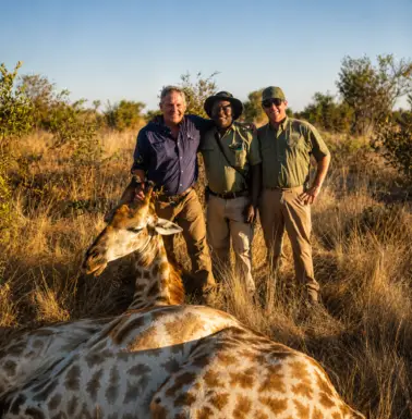 Safari clients and professional guide posing with a giraffe trophy in Zimbabwe