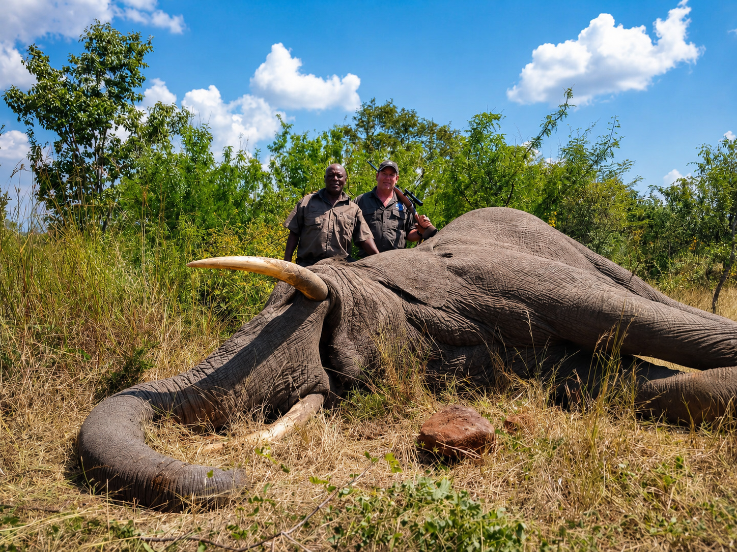 Dangerous game safari in Zimbabwe
